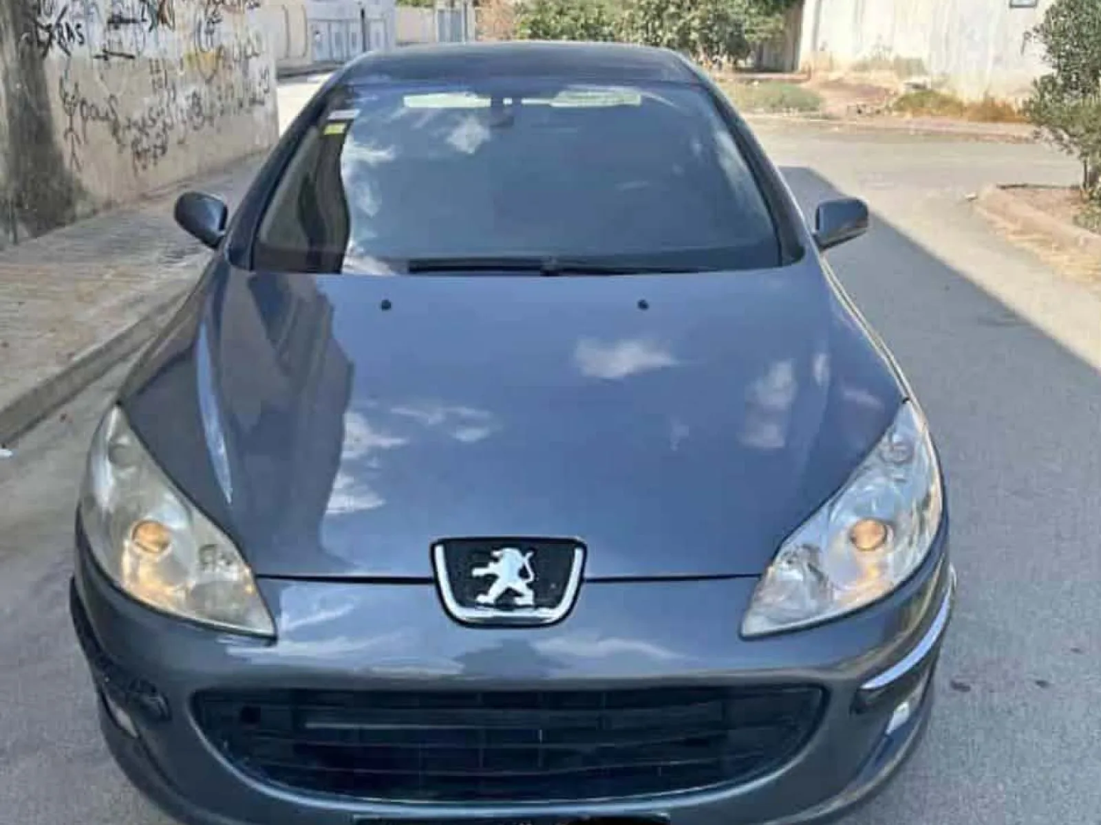 Peugeot 407  2006