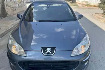 Peugeot 407  2006
