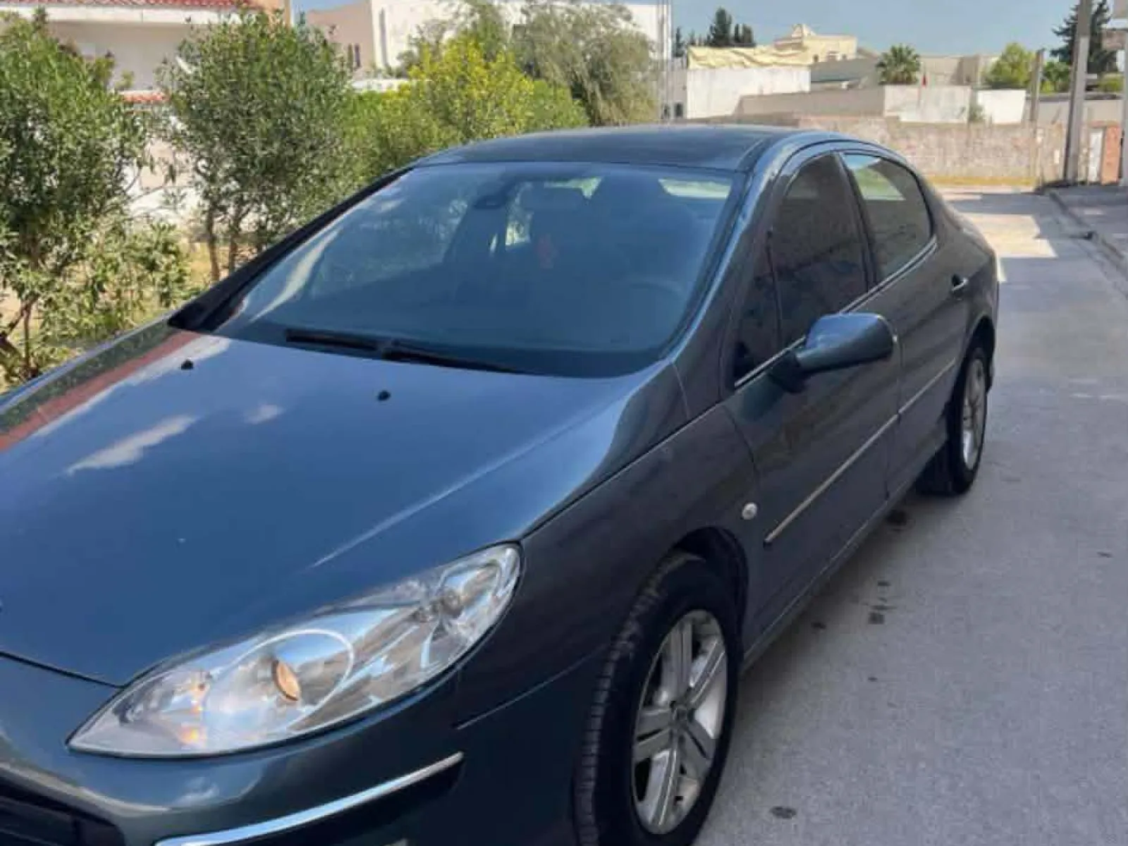 Peugeot 407  2006
