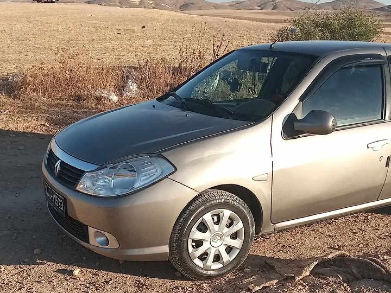 Renault Symbol  2010